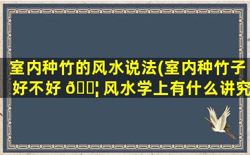 室内种竹的风水说法(室内种竹子好不好 🐦 风水学上有什么讲究)
